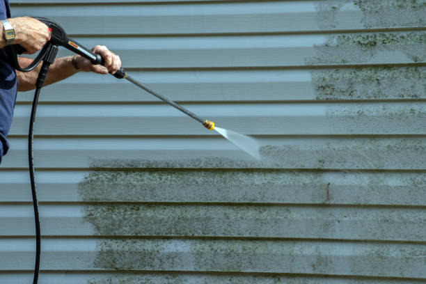 Best Fence Cleaning  in Hamlet, IN